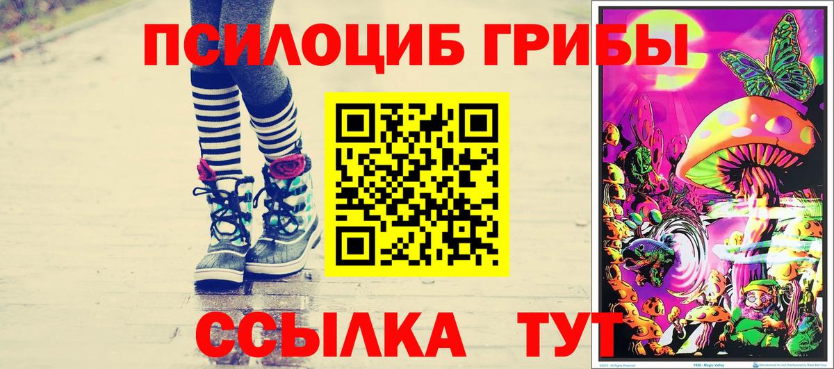 Галлюциногенные грибы Psilocybine cubensis Химки